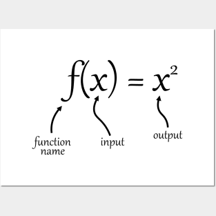 function notation definition Posters and Art